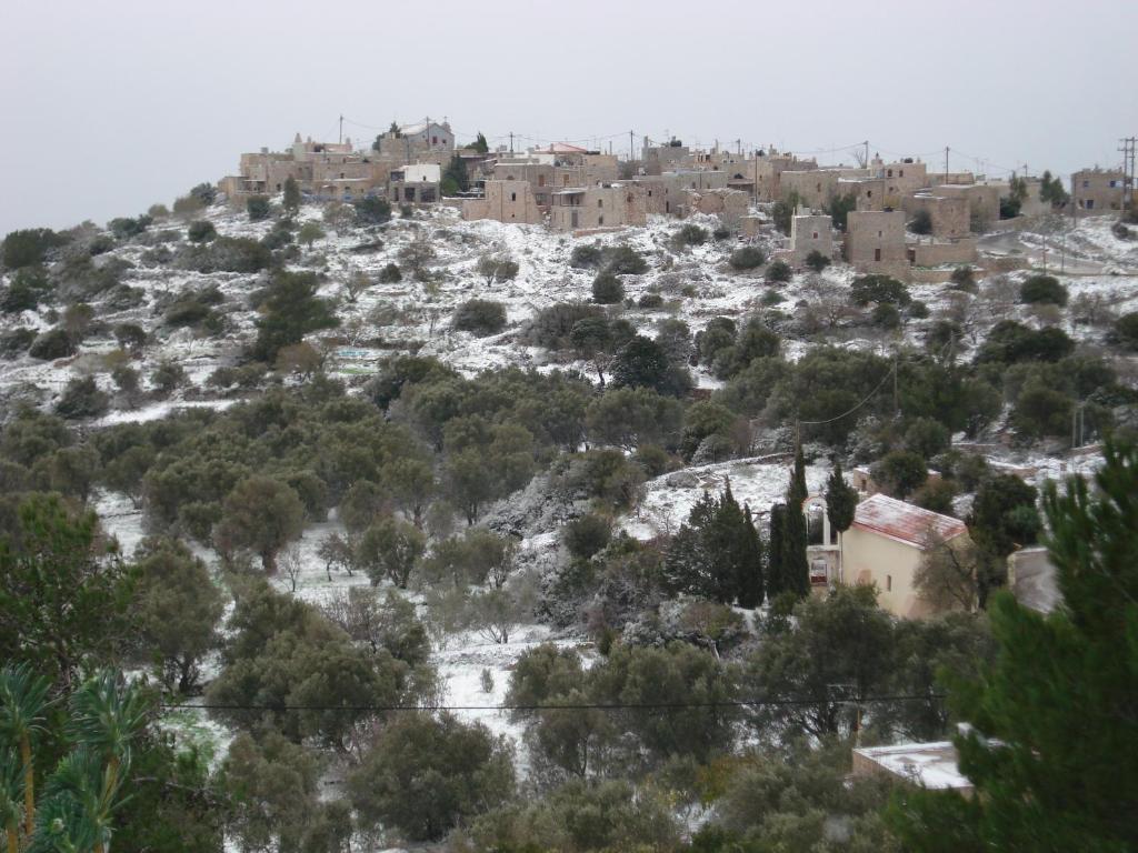 Pyrgos Houses And Restaurant Avgonima 외부 사진